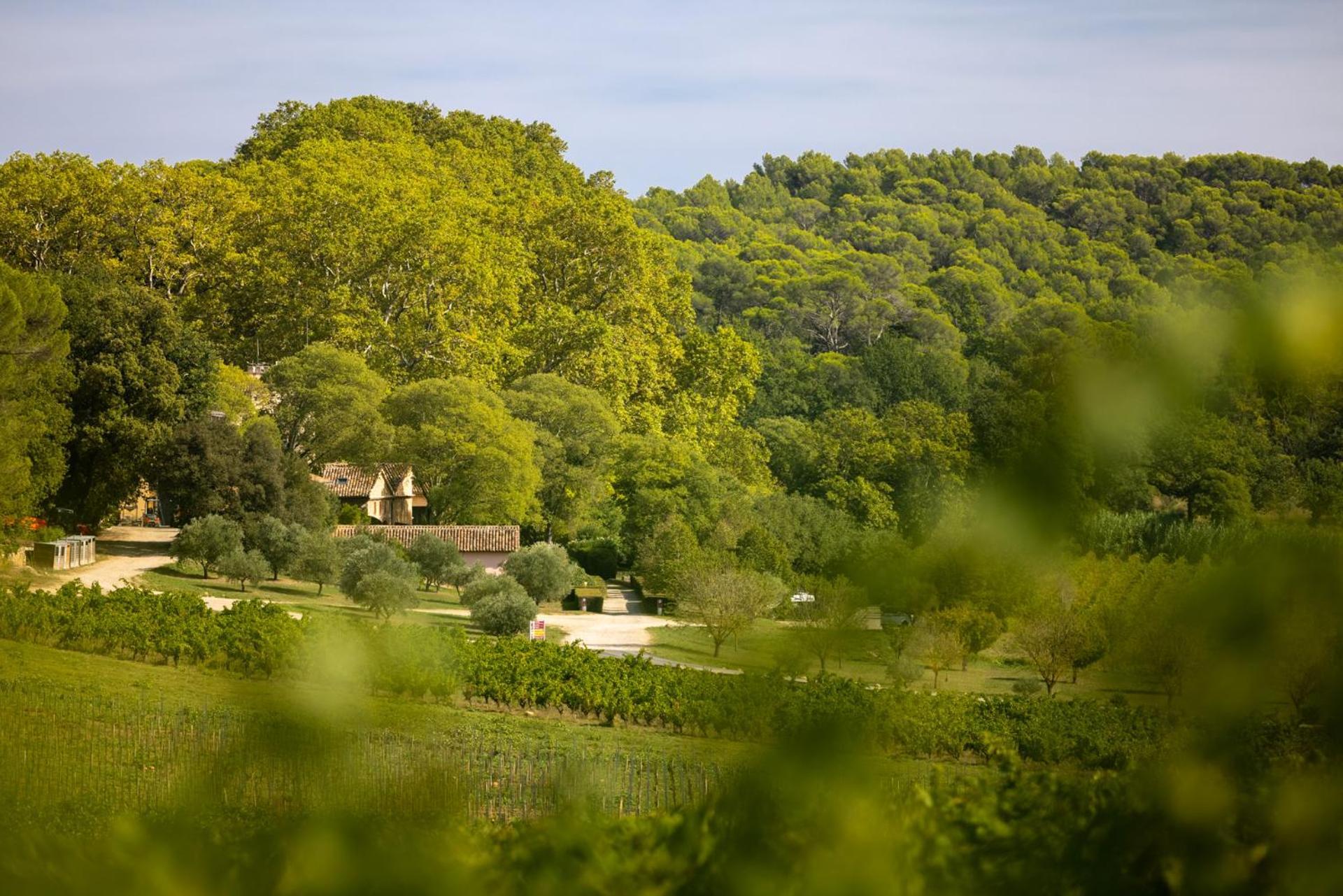Chateau Mentone Masseboeuf Dış mekan fotoğraf