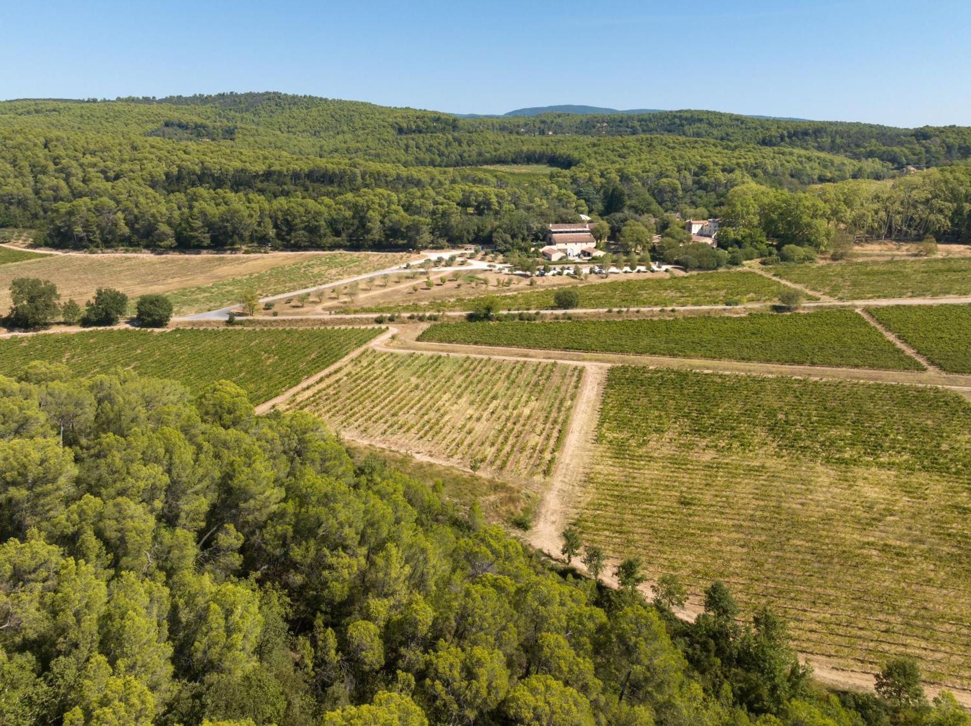 Chateau Mentone Masseboeuf Dış mekan fotoğraf