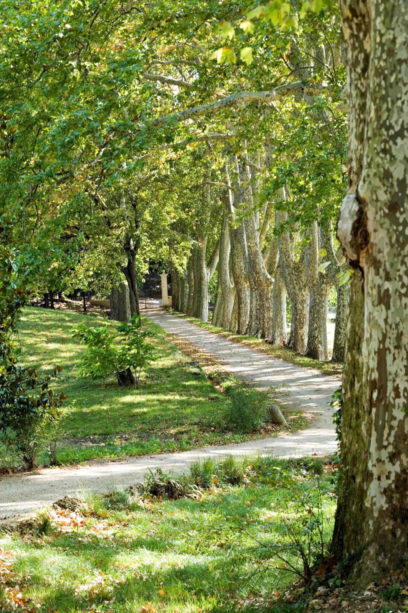 Chateau Mentone Masseboeuf Dış mekan fotoğraf